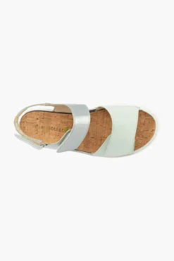 Willow 955001