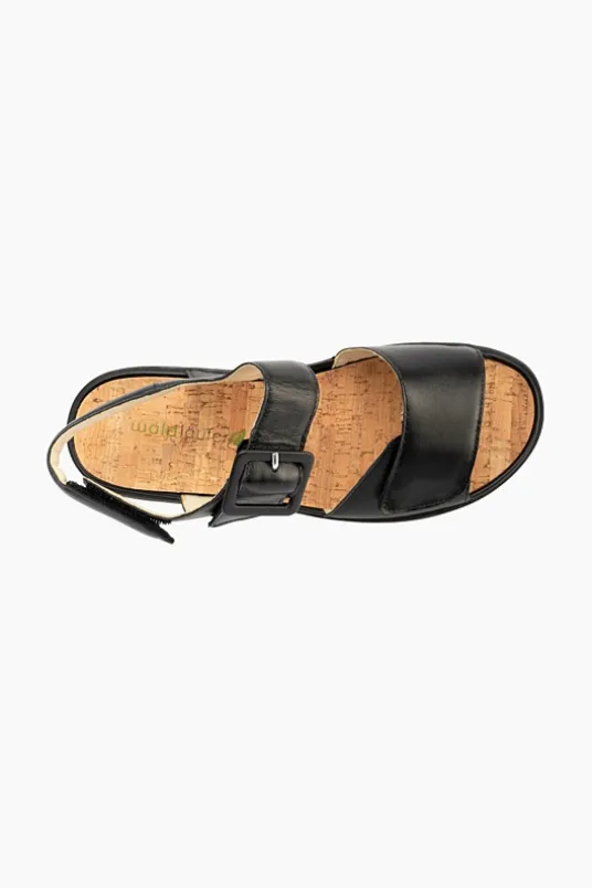 Willow 955004