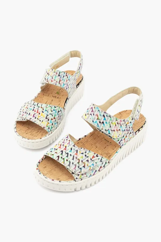 Willow 955001