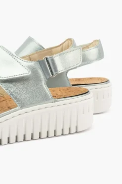 Willow 955001