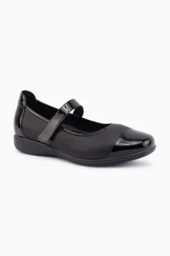 Wylie XW